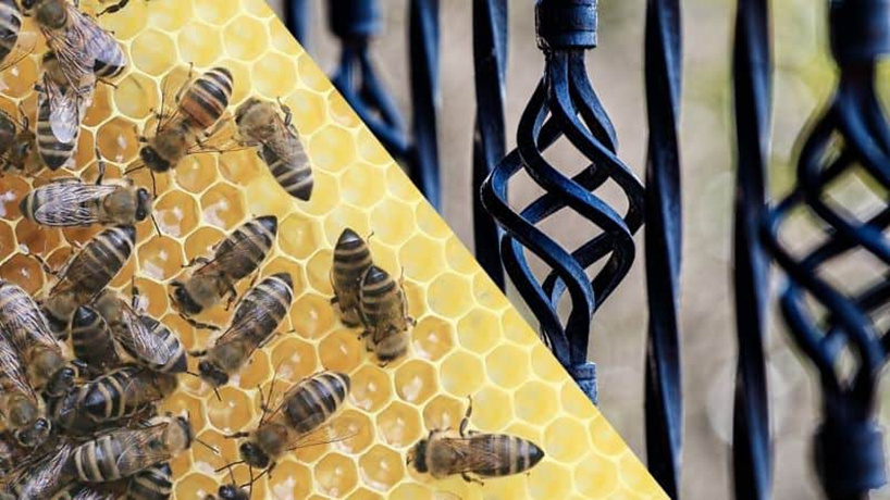 Воронение стали пчелиным воском в домашних условиях
