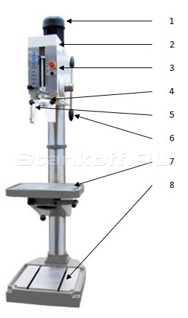 1. Электродвигатель.
2. Коробка скоростей.
3. Панель управления станком.
4. Шпиндель.
5. Защитный экран.
6. Штурвал подачи шпинделя.
7. Стол.
8. Основание станка.