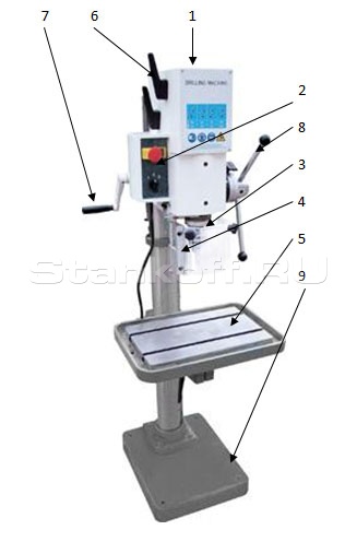 1. Коробка скоростей.
2. Панель управления станком.
3. Шпиндель сверлильного станка.
4. Защитный экран.
5. Стол.
6. Переключатели скорости вращения шпинделя.
7. Рукоятка перемещения шпиндельной бабки.
8. Штурвал ручной подачи шпинделя.
9. Основание станка
