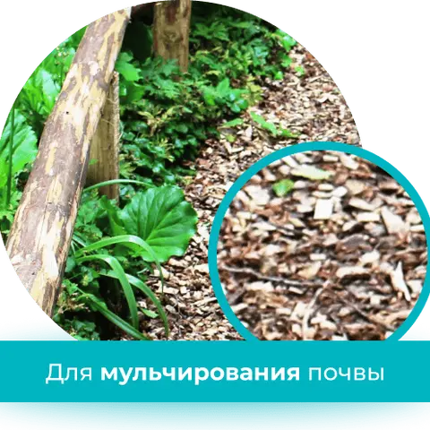 Позаботьтесь о вашем участке заранее: широкий ассортимент измельчителей древесины