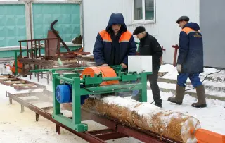 Бревнопильный станок для тонкомера Триумф Б200 — фото 3