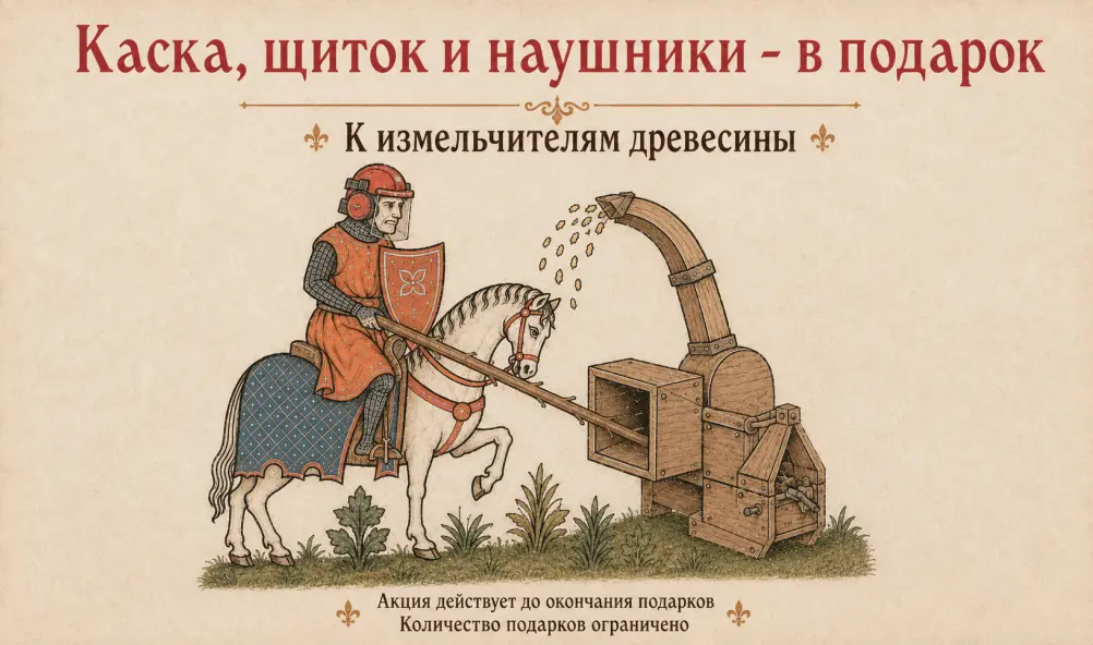 Щепа против короны: как не повторить судьбу Генриха II