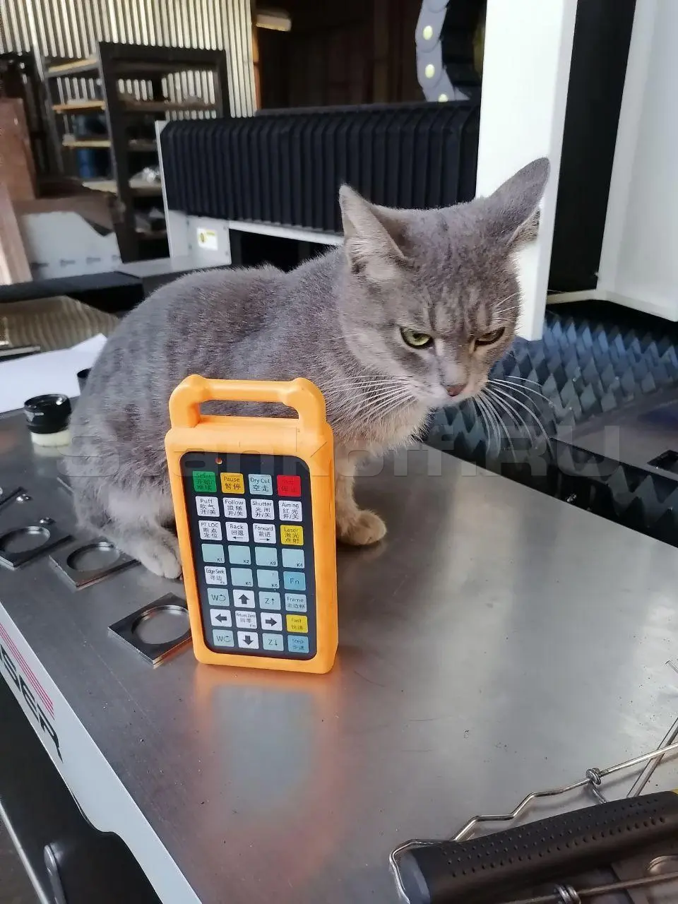 Дистанционный пульт управления и пушистый друг, который нам помогал :)