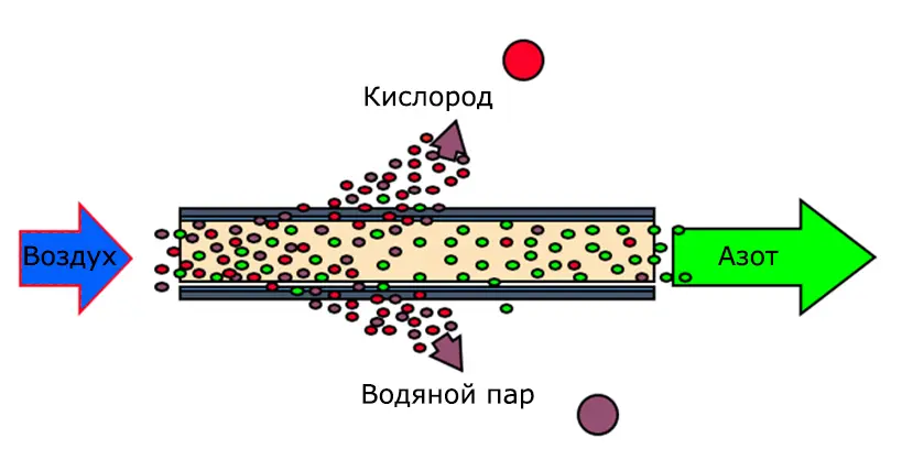 Рисунок 3. Полимер мембраны позволяет быстро движущимся молекулам водяного пара и кислорода диффундировать через мембрану и захватывать азот в качестве получаемого газа.