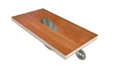 Форматно-раскроечный станок WoodTec 3200R