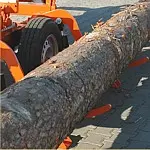 Пилорама ленточнопильная горизонтальная LT40 (электро)
