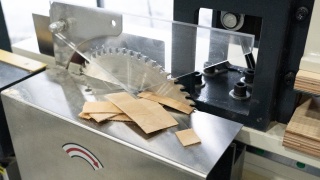 Станок для пиления и прифуговки шпона TG-3600